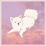 Pomeranian Fan Club!