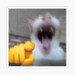 TheKingBunny YT #####
