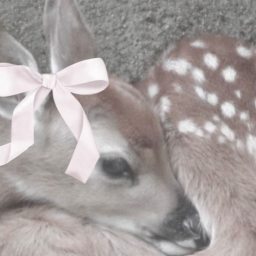 ♡