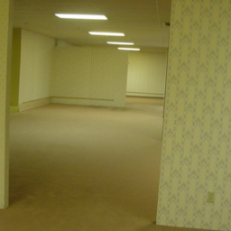 The Backrooms