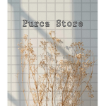 purcz Store