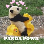 Panda Powa