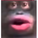 Lit poop