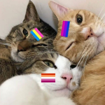 LGBTQ peeps!!