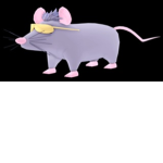 Rat cult for rats