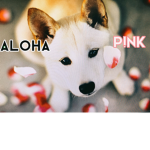 ~Aloha p!nk~