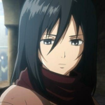 Mikasa ########
