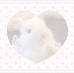 strawberry~bunnys