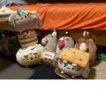 Plusheen fan club
