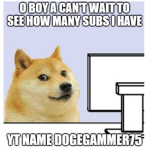 The DogeGAMMER Group
