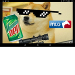 Not doge