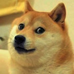United Doges!!