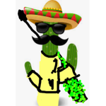 ChilliCactus fan-group