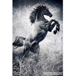 Mustang Mountain Stables