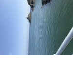 NAVILABILLA