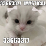 1MYSTICAL