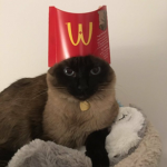 Kitten Kingdom ROBLOX
