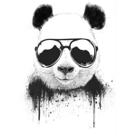 DJ pandas group