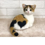 CutieCatSquad