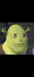 Morty1026/Shrek group