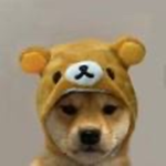 Bear’s StoreLine