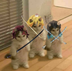 *-The noob gang-*