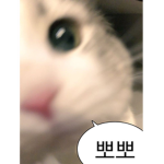 율 소통방