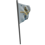 indawgnito aether flag :D
