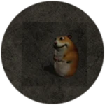 Familiar Looking Hamster