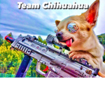El TEAM chihuahua
