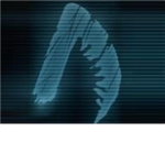 The Agents Group