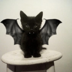 *b4by bats*