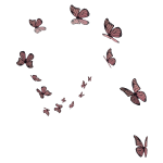 Butterfly Swirl Aura