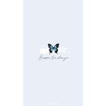 ~~Beautiful Butterflies~~
