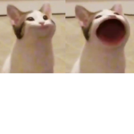 The Pop Cat Army!