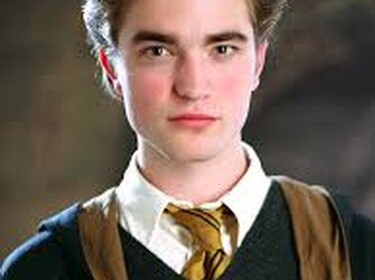 Cedric Diggory Sanctuary