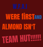 W.F.A.I team