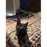 iDrxp5371