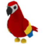 Peachy parrot