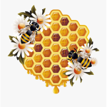 Honey.bees..