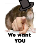 the rat main base