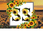 Sunfløwer_Squad