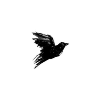 Black Bird On a White Background Roblox decal
