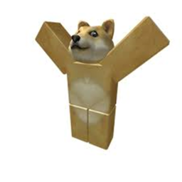 the doge hang out
