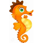 SeaHorse Studios