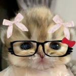 YKJ4MES