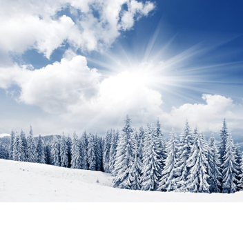 Snowy forest with a aesthetic mansion