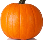 Lord pumpkin club