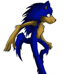 Sonic Development