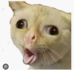 AAMBDJT